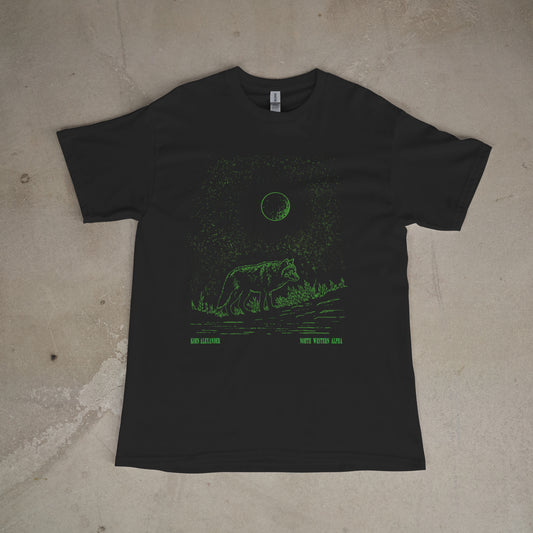 Northwestern Alpha T-shirt